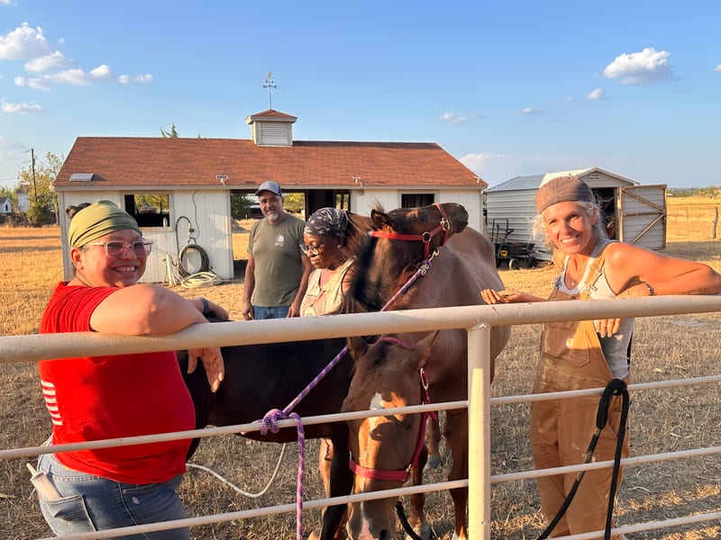 The crew at the barn, September 12.